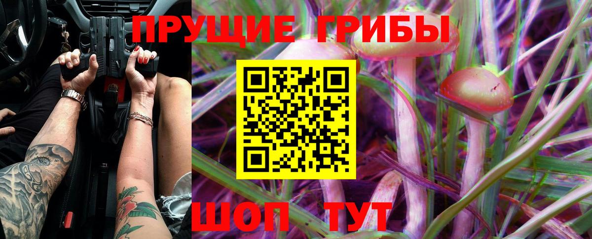 Псилоцибиновые грибы Psilocybine cubensis  Вход с VPN  Кузнецк 